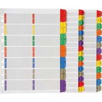 DIVIDERS A4 COLOURED INSERTABLTABS SET Set