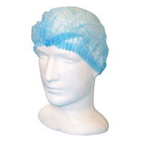 Livingstone Crimp Hairnet Cap