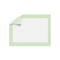 Haines Greeny Compostable Underpad, Regular, 5-Ply, 40 x 57cm, 250 Pieces/Box