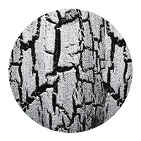 China Glaze Crackle Platinum Pieces (metal) Polish Ea Each