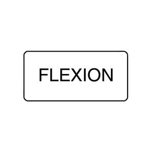 "FLEXION" - X-RAY LABEL 500/BOX Box