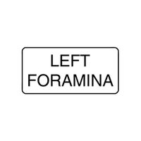 "LEFT FORAMINA" - X-RAY LABEL 500/BOX Box