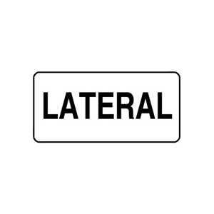 "LATERAL" - X-RAY LABEL 500/BOX Box
