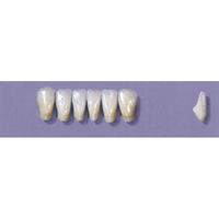 MYERSON ANTERIORS #11/G (1x6 CARD) Card