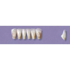MYERSON ANTERIORS #3/H (1x6 CARD) Card