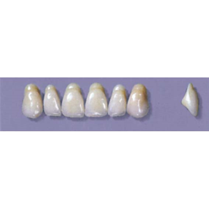 MYERSON ANTERIORS #A4/F (1x6 CARD) Card