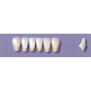 MYERSON ANTERIORS #A71/E (1x6 CARD) Card