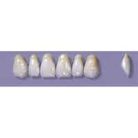 MYERSON ANTERIORS #A7/65 (1x6 CARD) Card