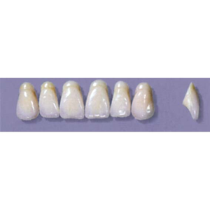 MYERSON ANTERIORS #A9/F (1x6 CARD) Card