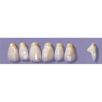 MYERSON ANTERIORS #PM6/73 (1x6CARD) Card