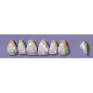 MYERSON ANTERIORS #PW2/C (1x6 CARD) Card