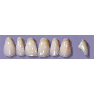 MYERSON ANTERIORS #PW8/62 (1x6CARD) Card