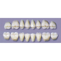 MYERSON DURA POST #32SLL/C (1x8 CARD) Card