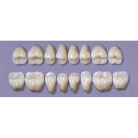 MYERSON DB SYN POST #30LL/60 (1x8 CARD) Card