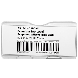 Livingstone Premium Top Level Prepared Slide, Euglena, Whole Mount, Each Each