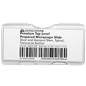Livingstone Premium Top Level Prepared Slide, Dicot and Monocot Stem, Typical, Transverse Section, Each Each