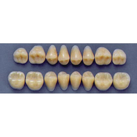 ULTRADENT POST. 33F/69 UPPER (1x8 CARD) Card