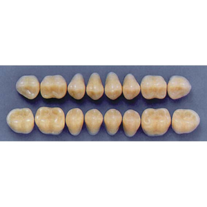 ULTRADENT POST. 33M/69 LOWER (1x8 CARD) Card