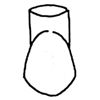 WILLIAMS FRASACO TYPE CROWNS 134 5/PK Pack
