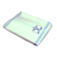 Livingstone Autoclave Steam Sterilisation Medical Paper Bags, No. 4 Satchel, 340 x 250 x 60mm, 60 GSM, Biodegradable, Loose Loose