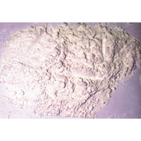 BORAL INVESTO 3F PLASTER 5KG/PAIL Pail
