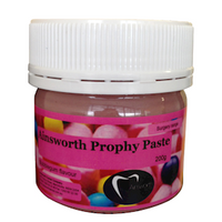 AINSWORTH PROPHY PASTE BUBBLEGUM 200G EACH Each