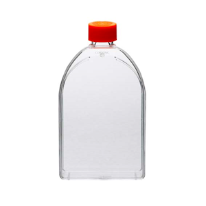 Corning Treated Cell Culture Flasks with Vented Cap, 210mL, 150cm^2, Rectangular, Canted Neck, PS, Sterile, 50/Carton Carton
