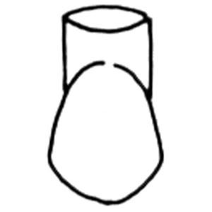 SDI Frasaco Type Crowns