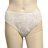 Disposable Full Patient Panty Briefs, Nonwoven, White, 10/Pack, 500/Carton Carton