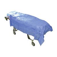Haines Disposable Modesty Sheet Flat 200 x 120cm 25gsm, Large, Dark Blue, 100/Carton Carton