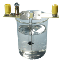 Electrodes Stainless Steel, 2x Plates, Fixed, Lamp & Terminal, Each Each