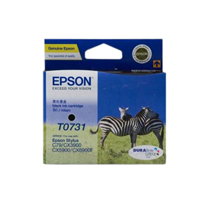 EPSON CARTRIDGE T0731 BLACK Each