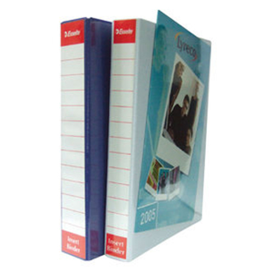 INSERT BINDER 25MM 3 D RING BLUE ESSELTE EA Each
