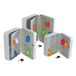 ESSELTE KEYCABINET 48 CAP 250L x 188H x 77D MM Each