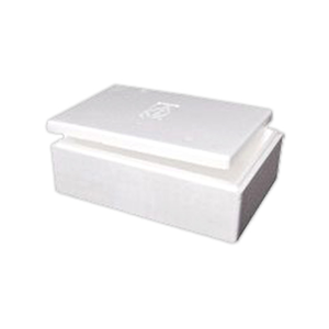 Livingstone Foam Cooler Box, 15 Litres, 490 x 338 x 165 mm, with Lid, Each (621126) Each