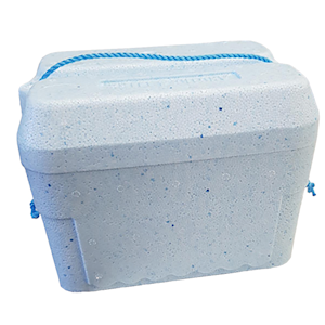 Livingstone Foam Cooler Box, 6 Litres, 250 x 180 x 260 mm, with Lid, Each (611120) Each