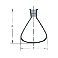 Flask Pear 1 Neck 100ml Small 24/29 60mm Each