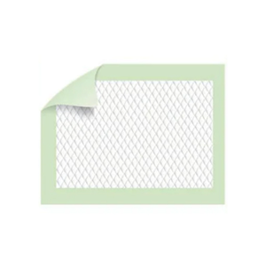 Haines Greeny Compostable Underpad, Regular, 5-Ply, 40 x 57cm, 250 Pieces/Box