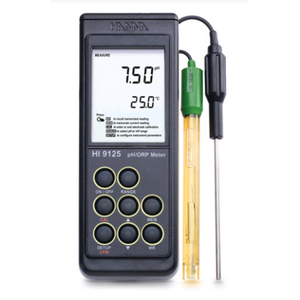 Hanna Port Waterproof Micro Process PH, (-2-16) Auto & Man Calib Each
