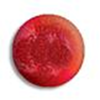 HAWLEY NAIL POLISH LIQUID CRYSTALS SERIES 258 EA Each