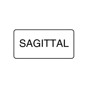 "SAGITAL" - X-RAY LABEL 500/BOX Box