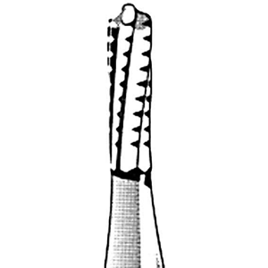 Kerr Jet 1558 Tungsten Carbide Burs