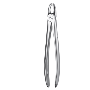 German Martins Dental Extraction Forceps, M1, Each Each