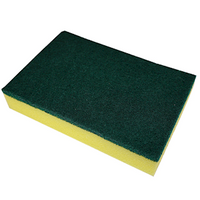 Livingstone Green Scourer with Yellow Sponge