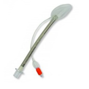 Multigate Laryngeal Airway Masks