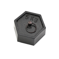 Mass Cast Iron Hexagonal 5000Gms with Rings P21-200/055 Each