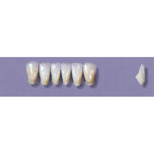 MYERSON ANTERIORS #11/G (1x6 CARD) Card