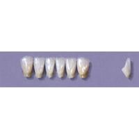 MYERSON ANTERIORS #12/65 (1x6 CARD) Card