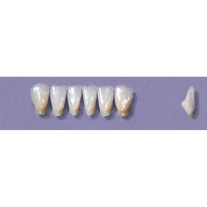 MYERSON ANTERIORS #12/70 (1x6 CARD) Card