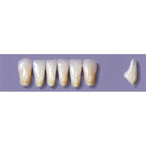 MYERSON ANTERIORS #16/C (1x6 CARD) Card